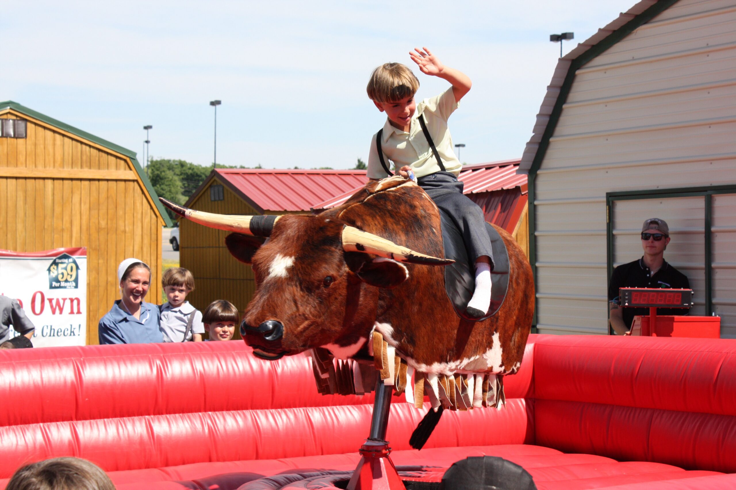 Rodeo Bull