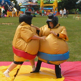 sumo wrestling kid birthday party